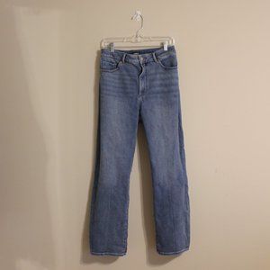 Express Super High Rise Modern Straight Jeans (Curvy)